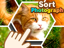Sort Photograph