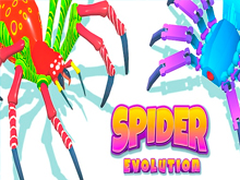 Spider Evolution