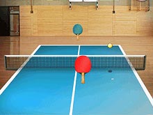 Table Tennis - World Tour