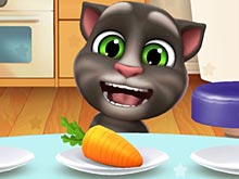 Talking Tom Hidden Stars