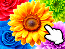 The Flowers: Merge and Sell Bouquets