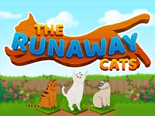 The Runaway Cats