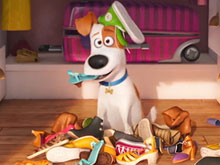 The Secret Life of Pets Online