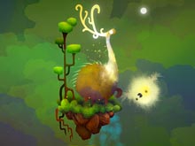 The White Bird