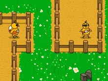 ​Throw da Egg