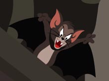 Tom and Jerry Cats Gone Bats