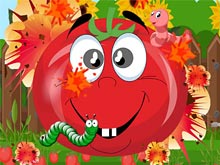 Tomato Explosion