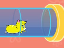 Tube Racers