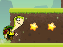 Turtle Hero Adventures