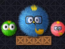 Where is my ruffled bird