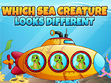 Which Sea Creature Looks Different