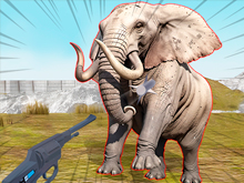 Zoo Anomaly Simulation